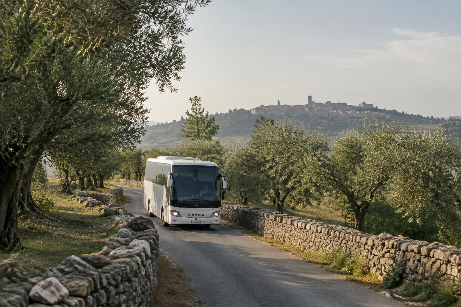 A white coach on a narrow country road between olive trees and dry stone walls, with a hilltop town in the distance